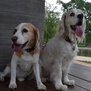 Meet your Posher, Grace